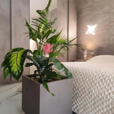 Mini Paradise Apartament